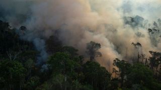 Aerial view showing smoke rising from an illegal fire at the Amazonia rainforest in Labrea, Amazonas state, Brazil, on September 15, 2021. 